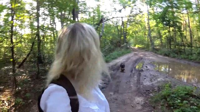 Пуща-Водица. Про энергию деревьев смотреть онлайн