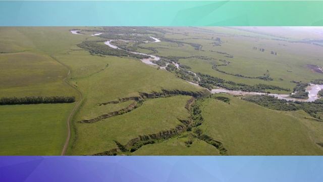 Смоленский район Алтайского края смотреть онлайн