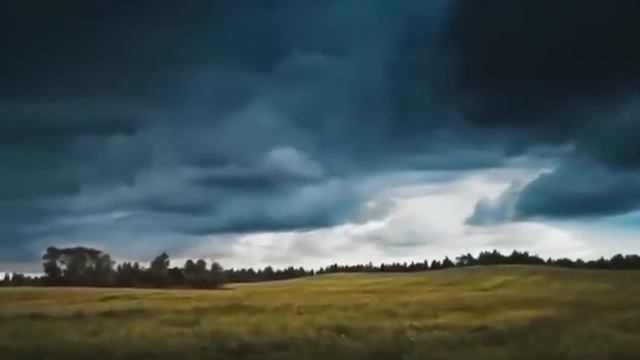 Разные народы - одна семья Караван истории Родниковская детская библиотека смотреть онлайн