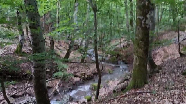 река Софу Узень у дороги Крымского Природного Парка смотреть онлайн