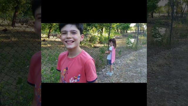 ARMAVIR ZOO смотреть онлайн