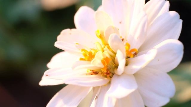 Fuji X-T20 Test 4K Video - 1 смотреть онлайн