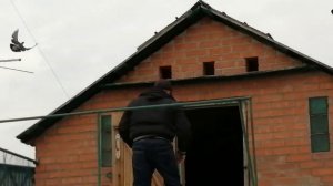 2.ч. // СЕРПАСТЫЕ - ГОЛУБИ. АЛЕКСЕЯ ШАФОРОСТОВА. П. ЦЕЛИНА. РОСТОВСКАЯ ОБЛ. 12.02.2021.Г.