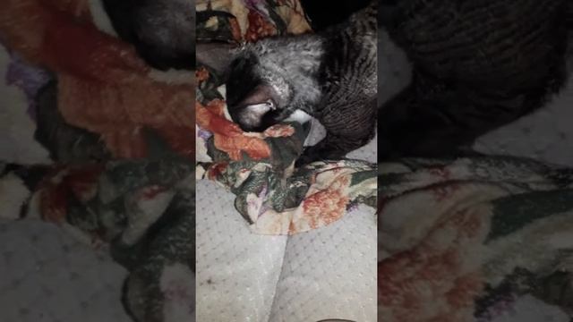 Чистка одеяла. смотреть онлайн