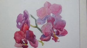 Рисуем орхидею гуашью