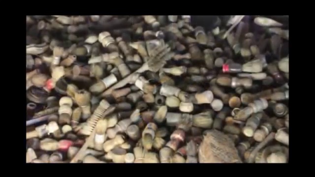 Devoir De Mémoire Une Jeunesse Embrigadée Politiquement