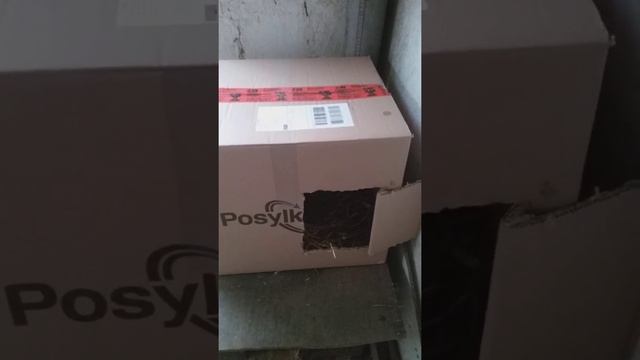 Идеальный домик для кладки яиц , самодельный