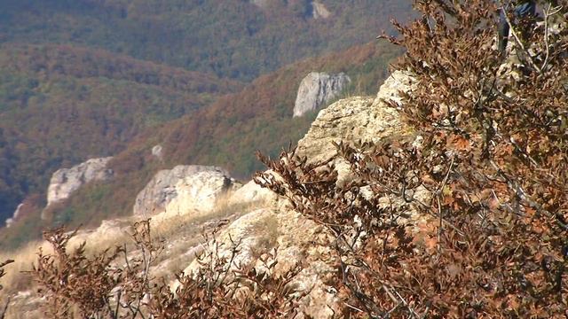 Скальный хребет горы Кургуч. Панорама. смотреть онлайн