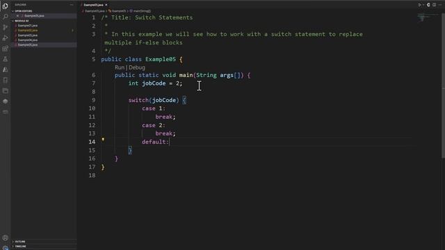 Java Practice Examples - Module 2-5 Using the Switch Statement смотреть онлайн