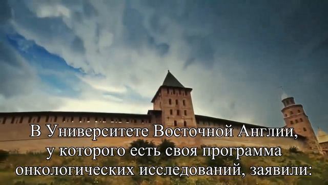 В Youtube много недостоверных видео о «народных средствах» от рака Борются с ними плохо — Статья смотреть онлайн