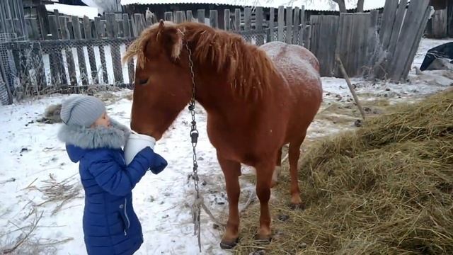 Сколько стоит содержать лошадь в деревне? смотреть онлайн