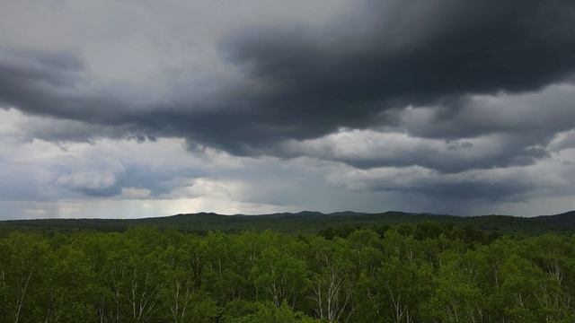Хабаровск Лето 4к Заимка смотреть онлайн