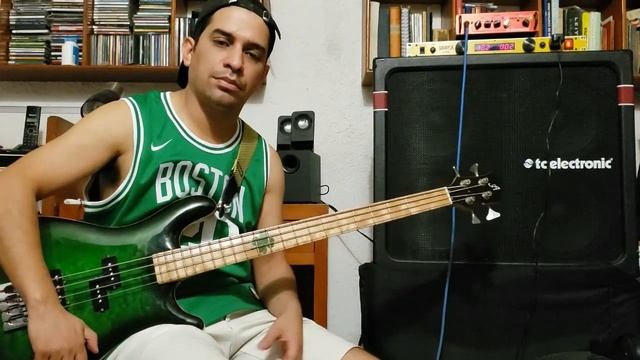 Flogging Molly - Devil's Dance Floor (Bass Cover) смотреть онлайн