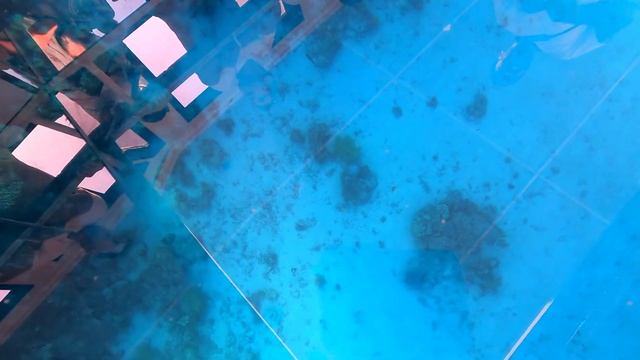 Морские прогулки по бухте старого города Шарм-Эль-Шейх, 27 ноября 2021 смотреть онлайн