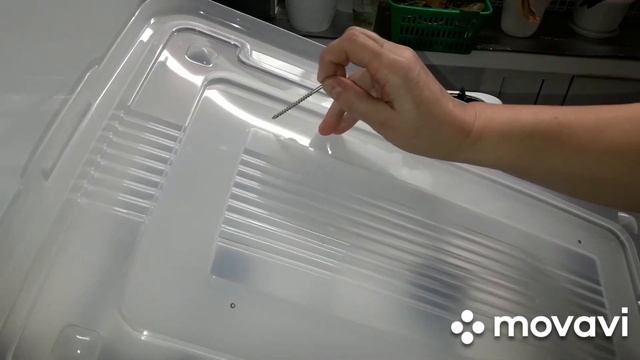 КОМНАТНЫЕ РАСТЕНИЯ(ЦВЕТЫ).ПОКУПКИ.ТЕПЛИЧКА С ПОДСВЕТКОЙ СВОИМИ РУКАМИ. смотреть онлайн