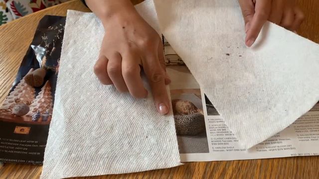 Wrapping Lithops Terricolor and Lithops Aucampiae for shipping