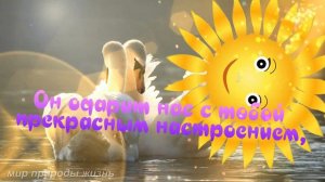 Четверг! Добрый День Четверга