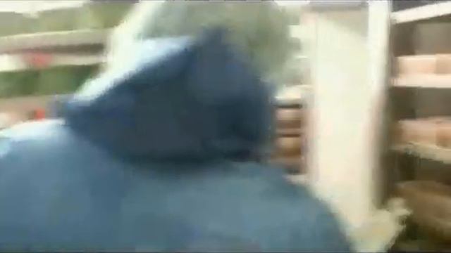 MASTER MOVER 3.mov смотреть онлайн