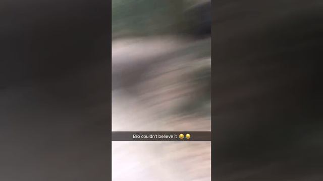 Смешная обезьянка