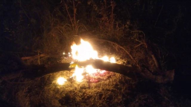 Костер в лесу ночью смотреть онлайн
