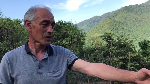 ЖИЗНЬ ВЫСОКО В ГОРАХ ГРУЗИИ. ДЕРЕВНЯ ВАРДЖАНУЛИ АДЖАРИЯ смотреть онлайн