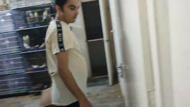 I am setting up my breeding boxes for java | Part 576 | AHSAN PETs смотреть онлайн