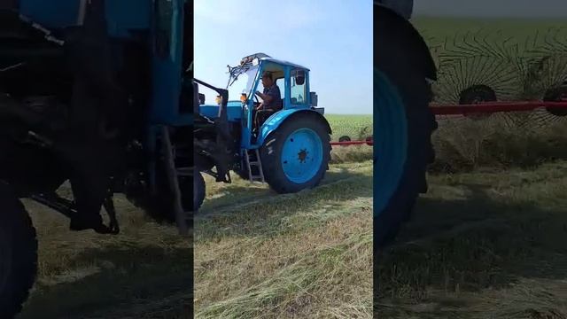 Сенокос 2022. Трактор т-40 с ГВН-5