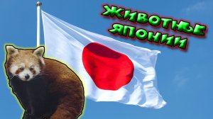 Животные Японии