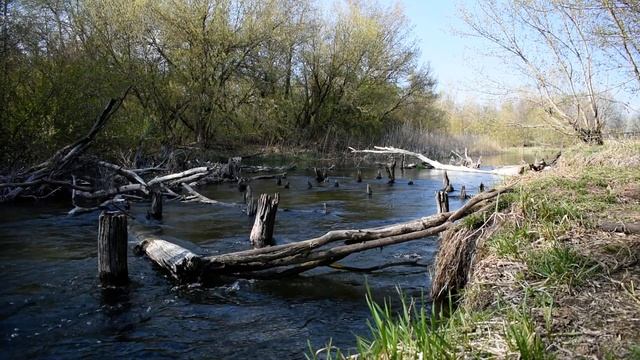 Релакс Звуки Природы Журчание Воды Пение Птиц Ч 1