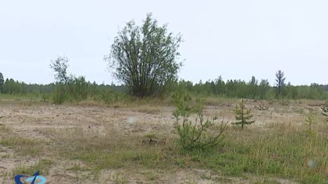 Земля или деньги? 12+ смотреть онлайн