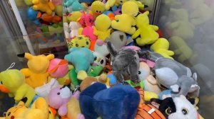 ИГРАЮ В ХВАТАЙКУ ЗА КОТА