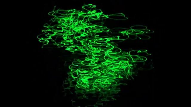 C Allen | Story of the Morel (Oscilloscope Music) - Re Rendered смотреть онлайн