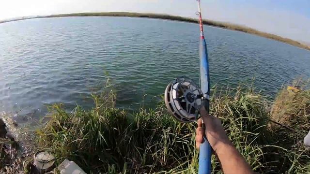 Mingəçevirdə TROFEY sazanlara və sudaklara balıq ovu! Адреналиновая рыбалка на ТРОФЕЙНЫХ рыб. смотреть онлайн