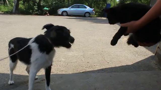 MVI 7138 смотреть онлайн