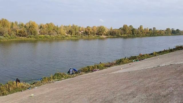 Чемпионат России по ловле поплавочной удочкой 2021. Первый тур смотреть онлайн