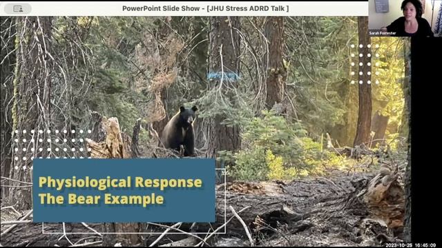 Stress and Alzheimer's Disease: From the Individual to the Caregiver смотреть онлайн