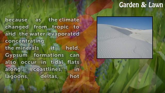 How Is Gypsum Formed? смотреть онлайн
