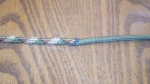 Торока для переноски дичи.