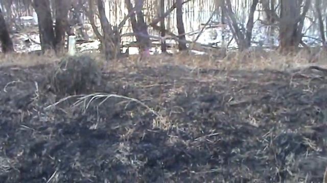 Улов рыбы, стрелялки, охота, рыбалка смотреть онлайн