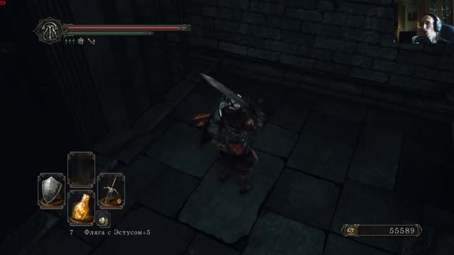 Прохождение Dark Souls 2: Scolar of the First Sin #48 - Склеп нежити смотреть онлайн