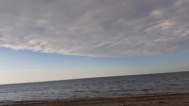 Про чипы, маски и нелюдские проявления