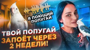 ТВОЙ ПОПУГАЙ ЗАПОЁТ ЧЕРЕЗ 2 НЕДЕЛИ