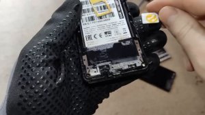 PLASTILIN. ПОИСК ГРИБОВ, МЕДИ И МЕТАЛЛОЛОМА В ЛЕСУ. РАЗБОР НАЙДЕННОГО ХЛАМА. КАК ЗАРАБОТАТЬ ДЕНЬГИ