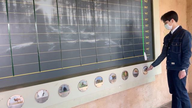 Поход в зоопарк в Сеуле (Влог) смотреть онлайн