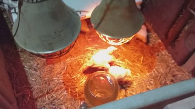 Я такого не ожидала от моей подписчицы.mp4 смотреть онлайн