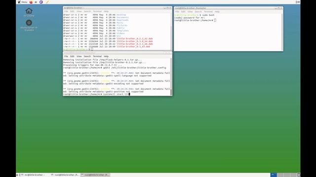 Installing the Debian Parental Control Application Little Brother 0.3.1 on Ubuntu 19.3 смотреть онлайн