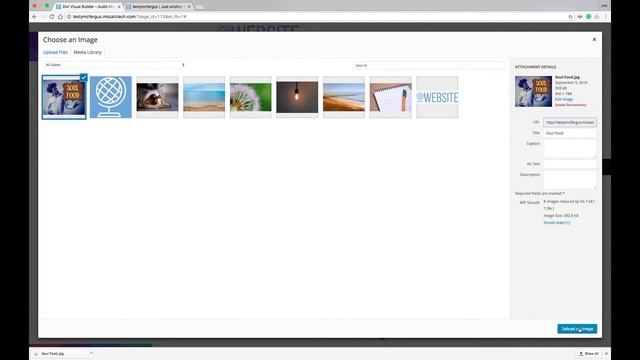 Audio Module - Divi WordPress Theme Visual Builder смотреть онлайн