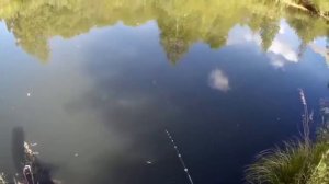 JACKAL MAGALLON от BEARKING. Тест на воде и подбор рабочей проводки