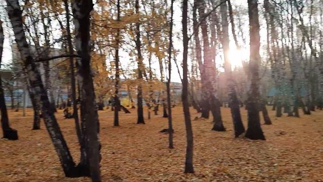 Новый вид спорта - лыжи на колесах или роликовые лыжи!!! Лыжники в парке!!! смотреть онлайн