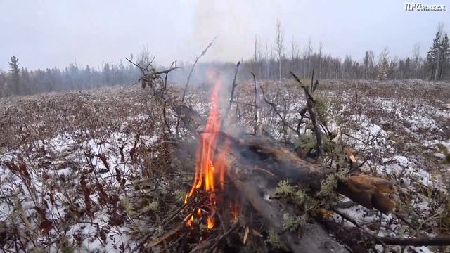 КЛЮКВА 22 смотреть онлайн